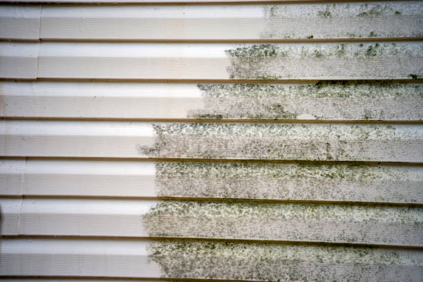 Best Garage Cleanout  in Avondale, LA
